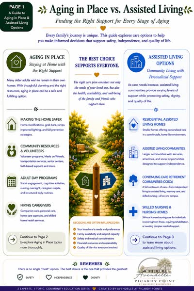 Aging in Place infographic — page one thumbnail